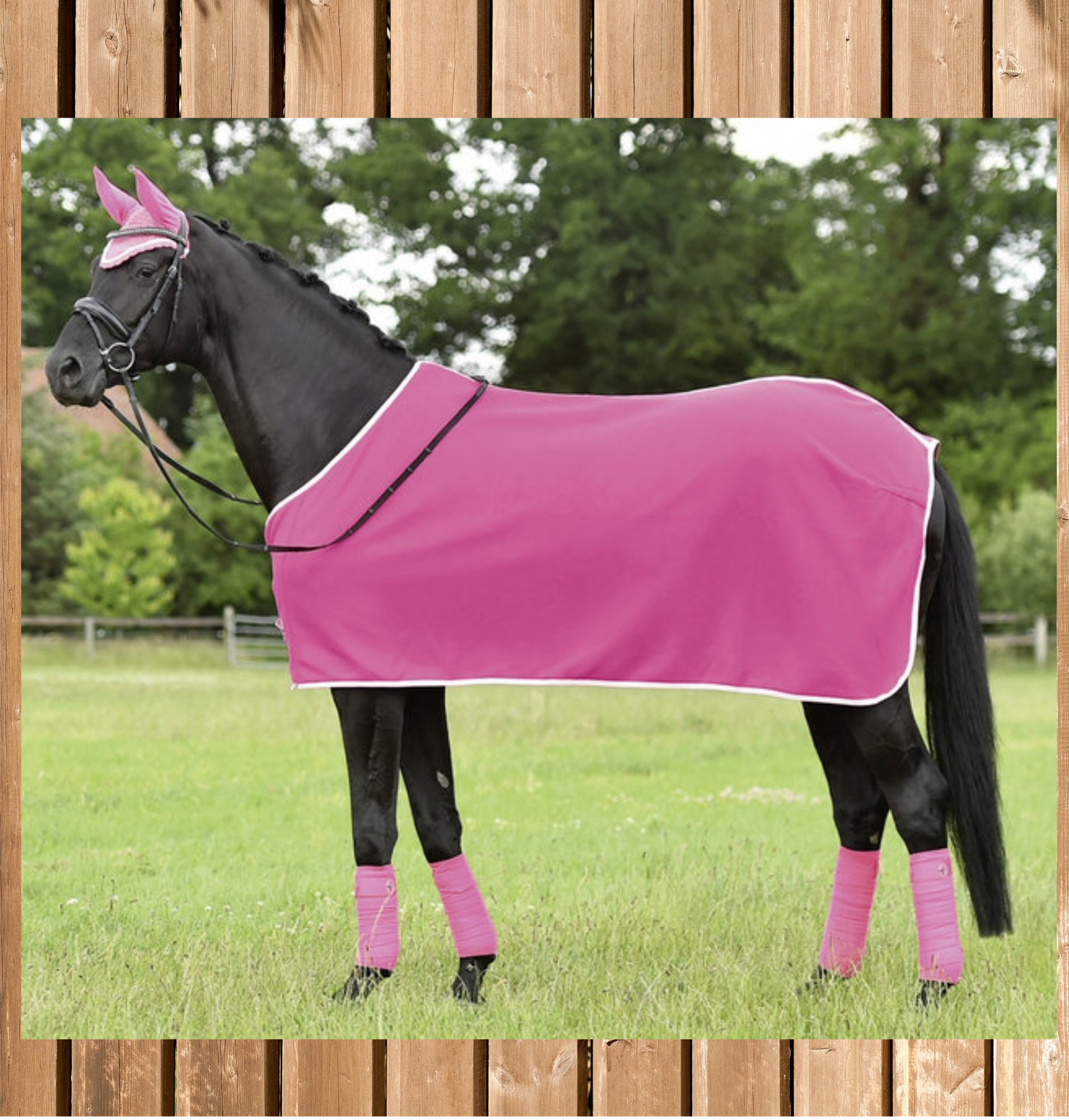 Busse Abschwitzdecke SEASON, Fleecedecke, passion pink